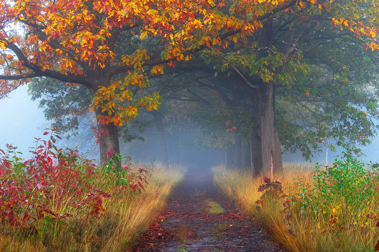 Herfst portfolio