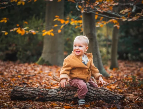 Portret Herfst Kind Bos