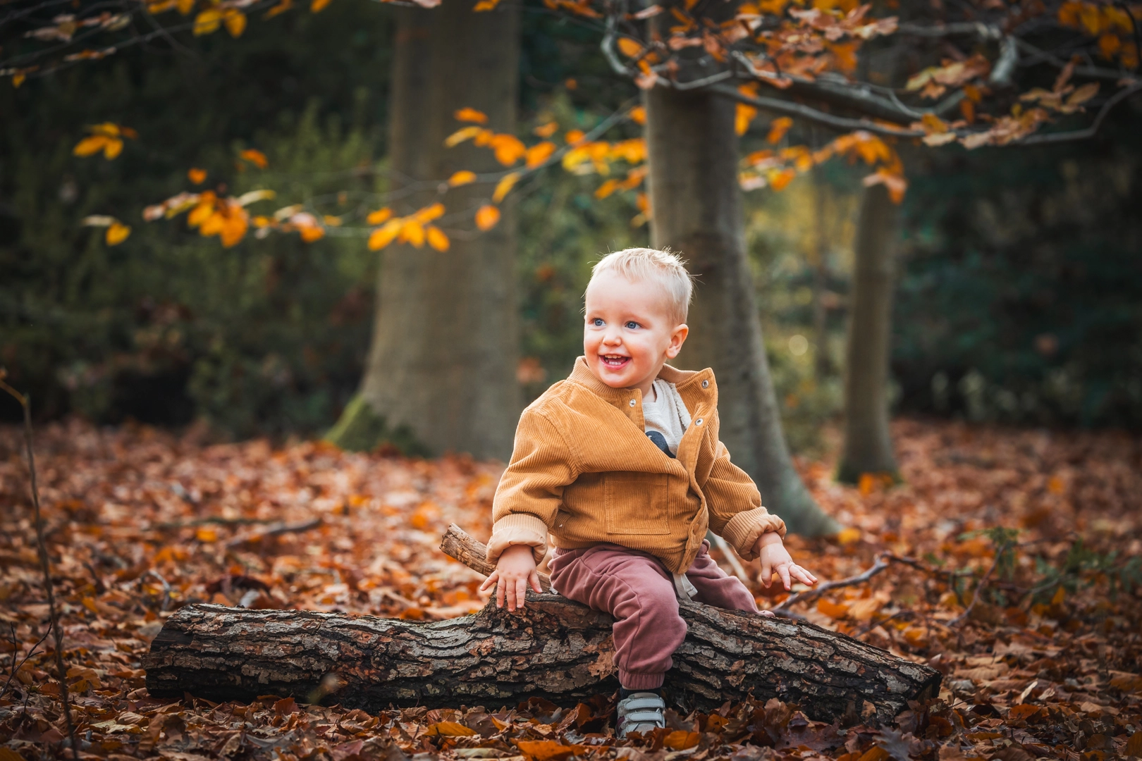 Portret Herfst Kind Bos