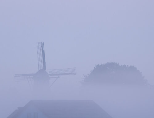 Dromerig tafereel: Vlindermolen in de mist