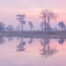 Reflectie Zonsopkomst loonse en Drunense Duinen