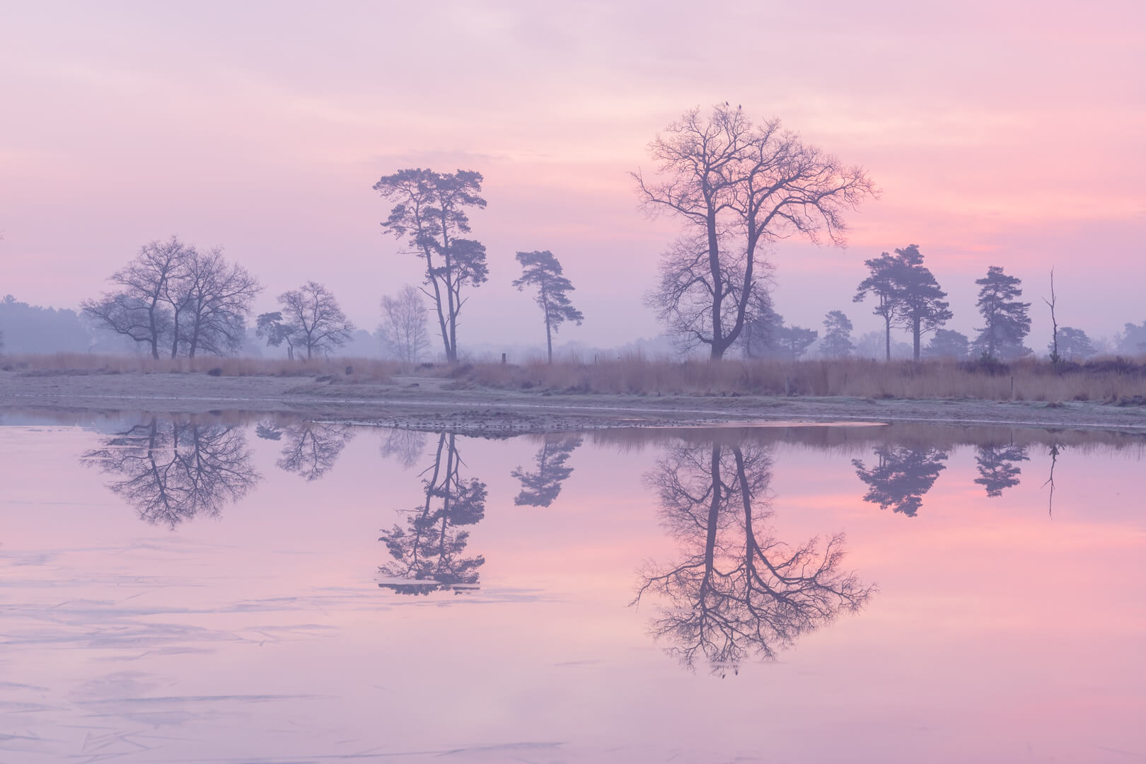 Reflectie Zonsopkomst loonse en Drunense Duinen