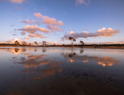 Reflectie met Wolken Loonse en Drunense Duinen