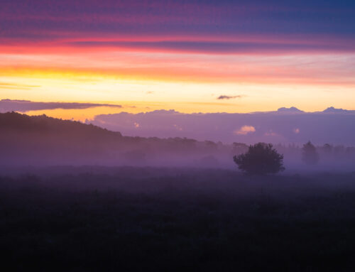 Spectaculaire Zonsopkomst Loonse en Drunense Duinen