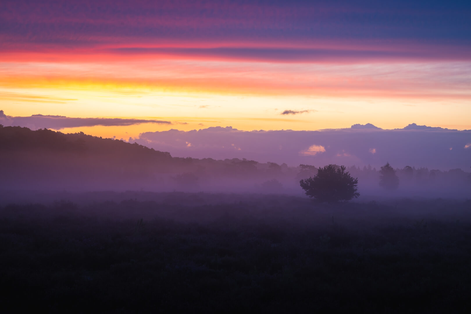 Spectaculaire Zonsopkomst Loonse en Drunense Duinen