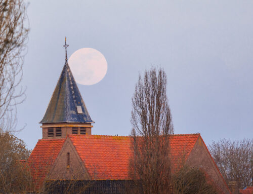 Mijn werk bij De Smulploeg in Herpt