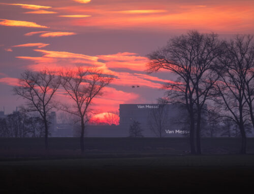 Afterglow bij Van Mossel vanaf de polder
