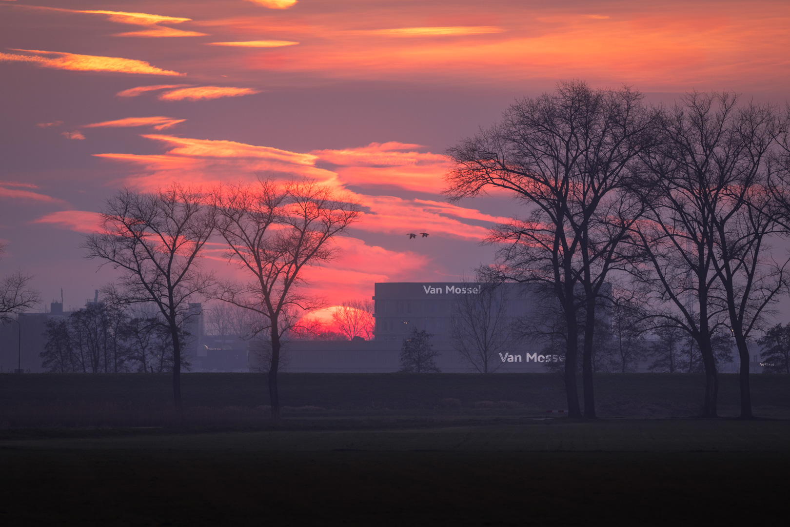 Afterglow Zonsondergang van Mossel