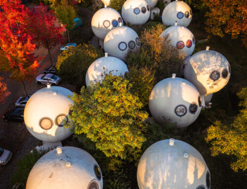 Bolwoningen Den Bosch Herfst