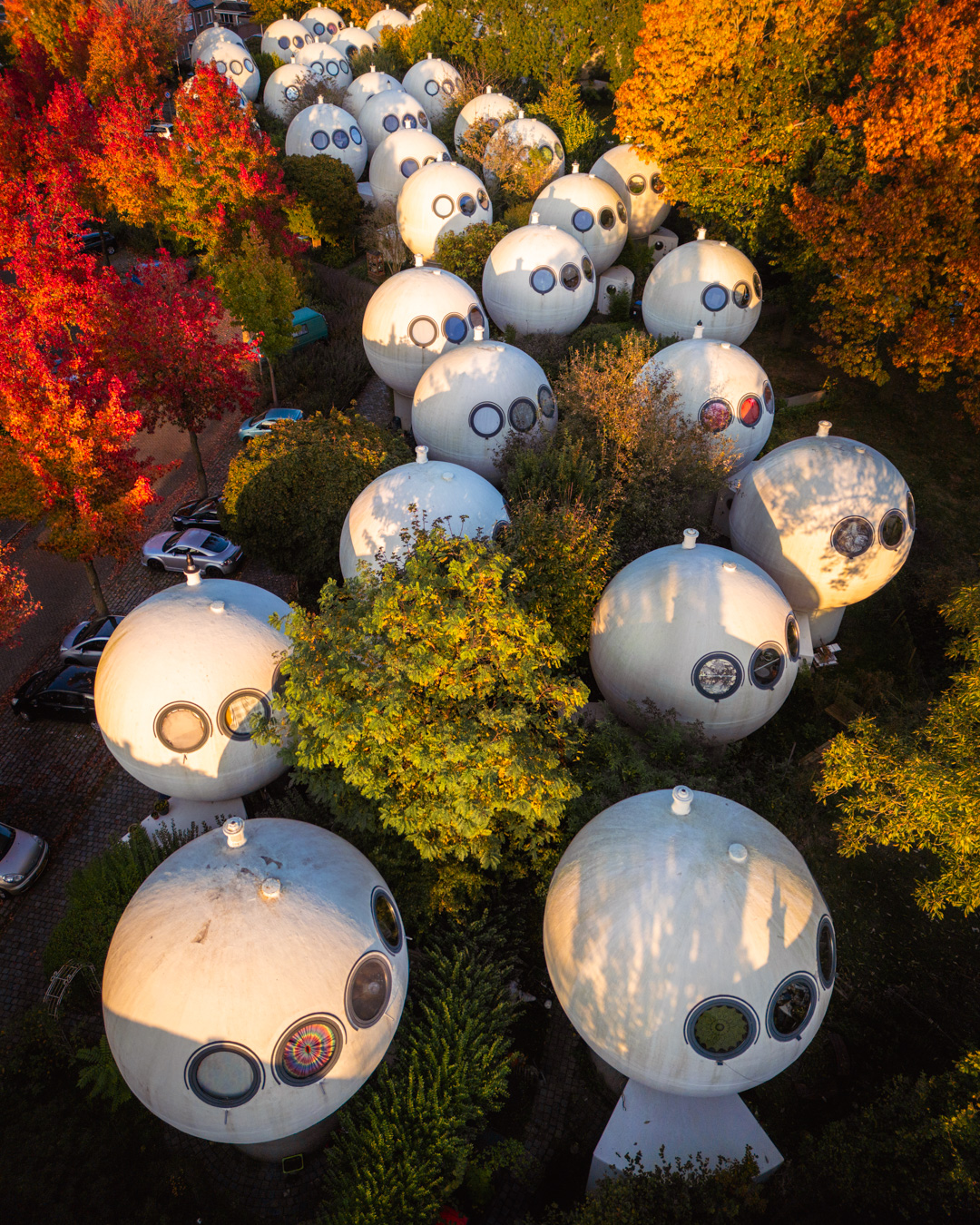 Bolwoningen Den Bosch Herfst