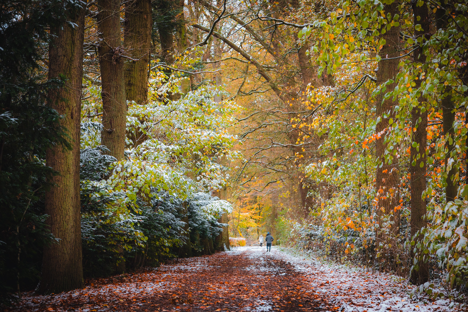 Herfstkleuren met sneeuw bij Plantloon