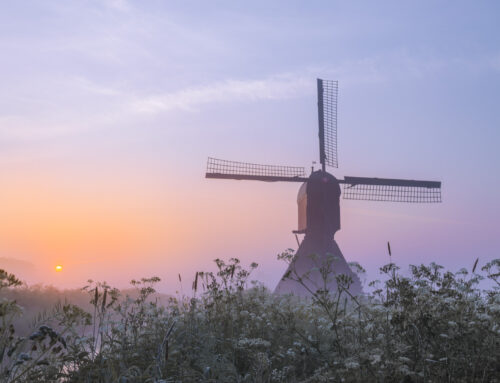 Lenteochtend Noordeveldse Molen