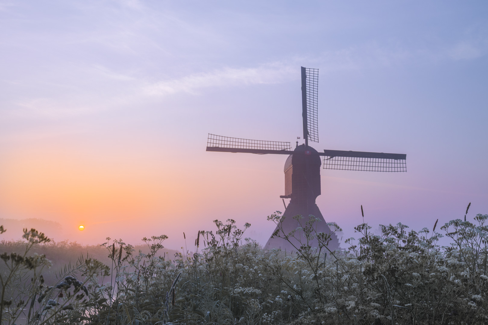 Lenteochtend Noordeveldse Molen