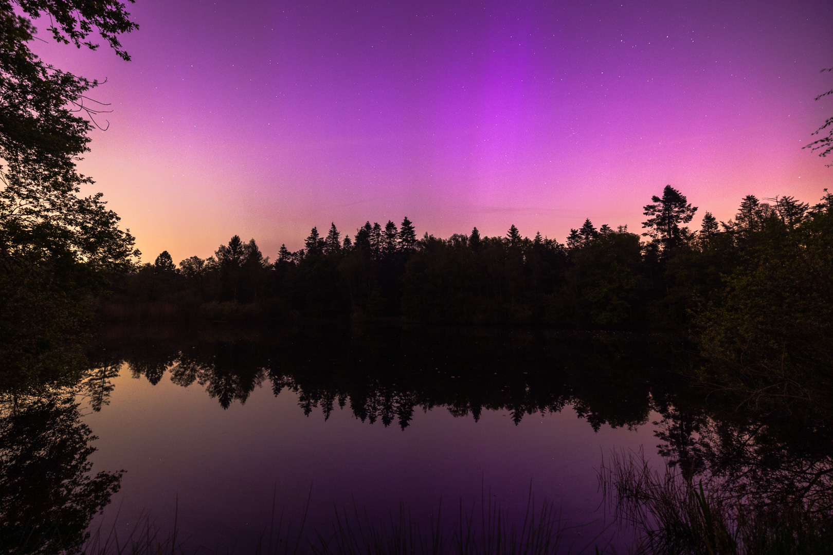 Noorderlicht Baardwijkse Overlaat