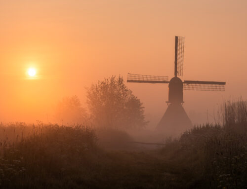 Noordeveldse Molen Mist Zonsopkomst