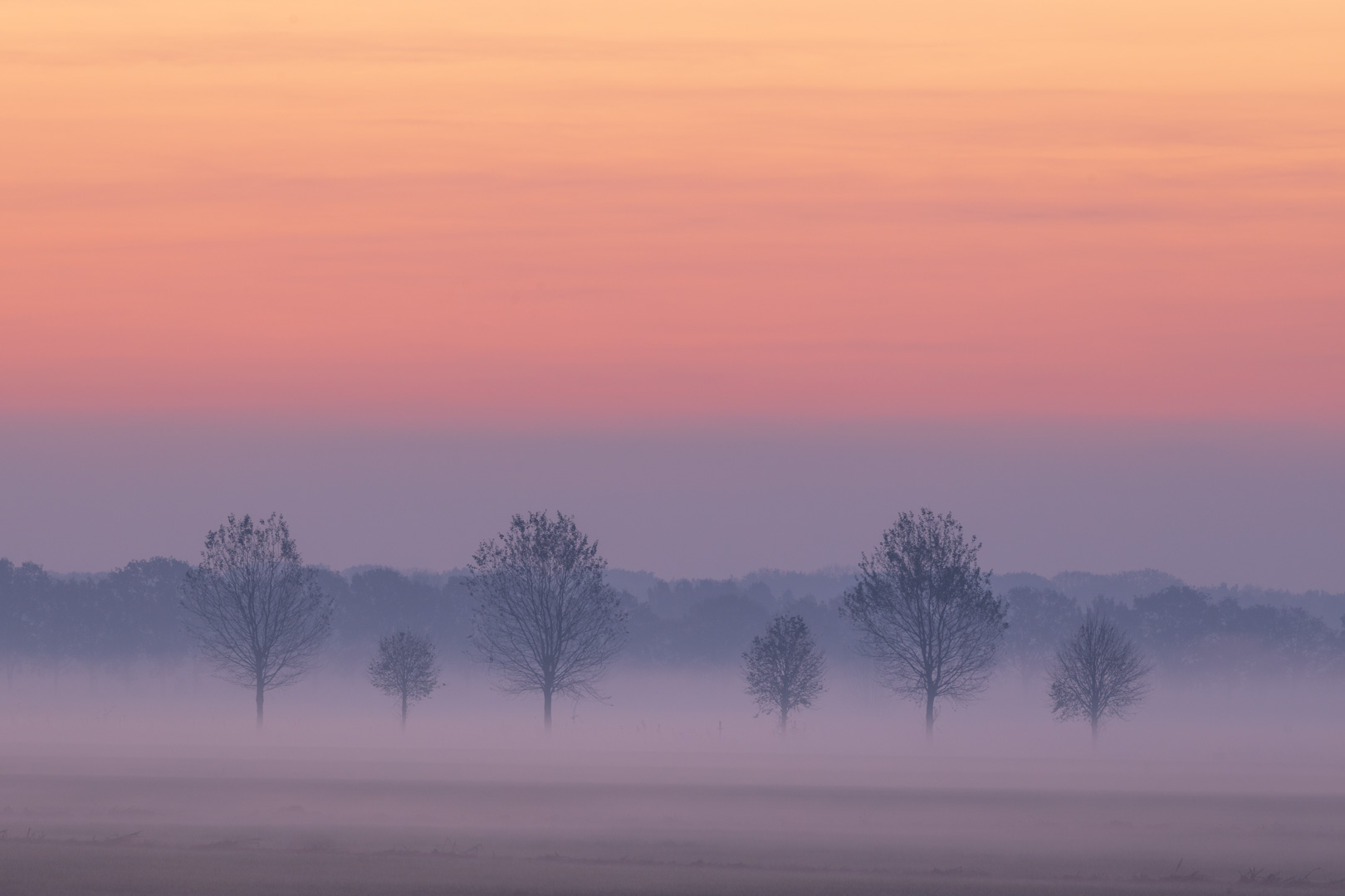 Pastelkleuren in de Polder