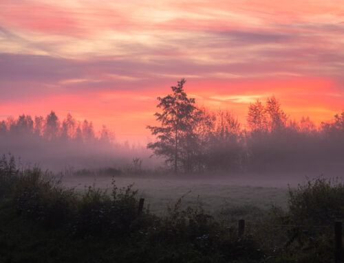 Roze lucht boven mistige polder bij Goirle