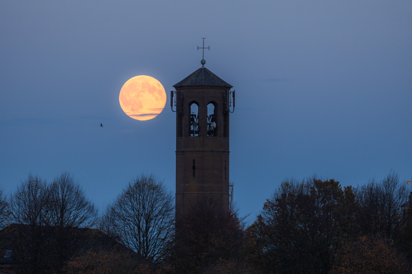 Volle Maan Toren Heusden Volle Maan bij Toren in Heusden