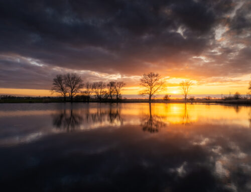 Elshoutse Wiel Zonsondergang Reflectie