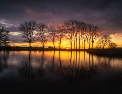 Gouden zonsondergang boven de Elshoutse Wiel