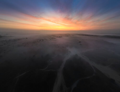 Zonsopkomst boven de Mist in de Duinen