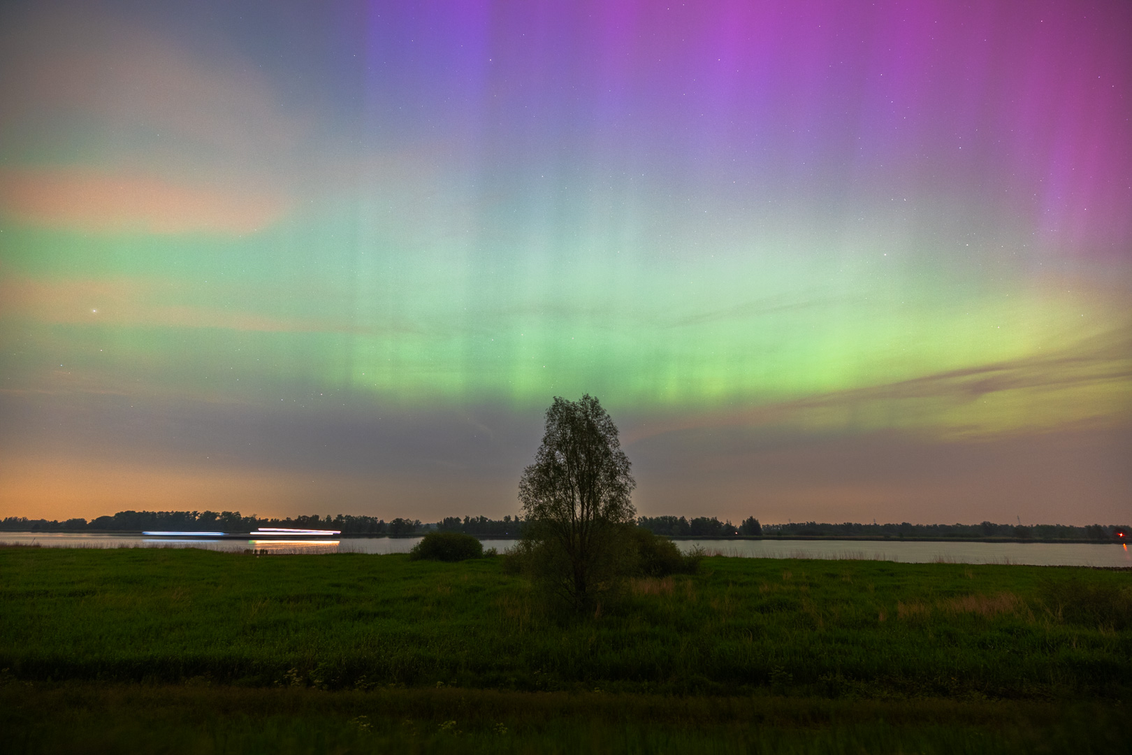 Noorderlicht Biesbosch