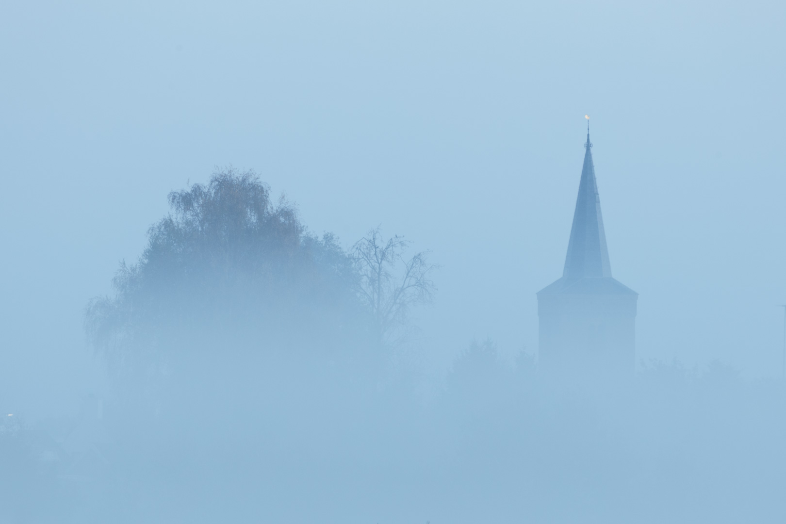 Polder Vlijmen Mistig