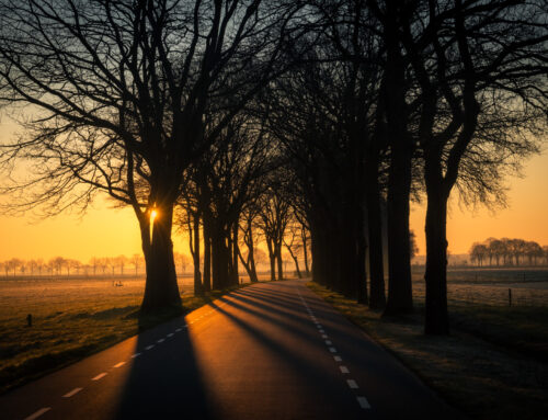 Zonsopkomst langs polderweg in Vlijmen
