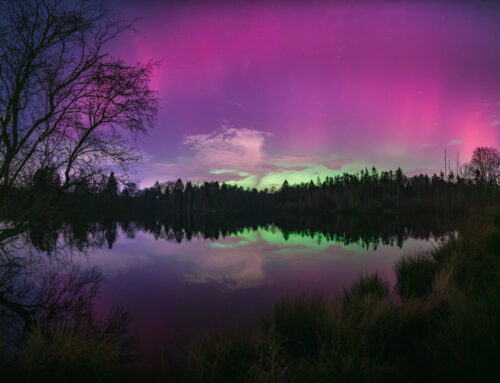 Bizarre Noorderlicht show in Drunen